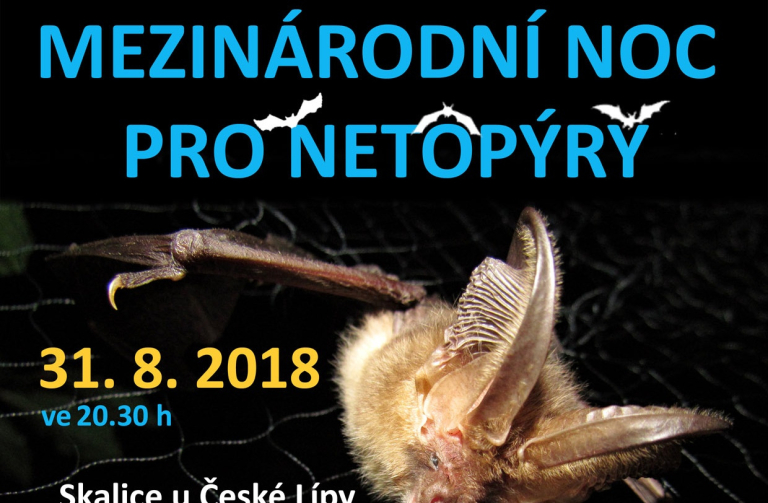 Noc pro netopýry 2018_Plakát_WEB foto